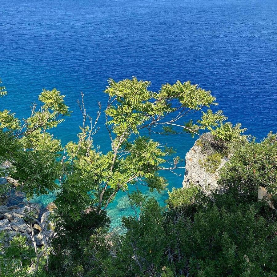 Casa * Scilla
